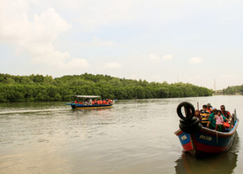 _MG_3959b